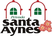 Santa Aynes